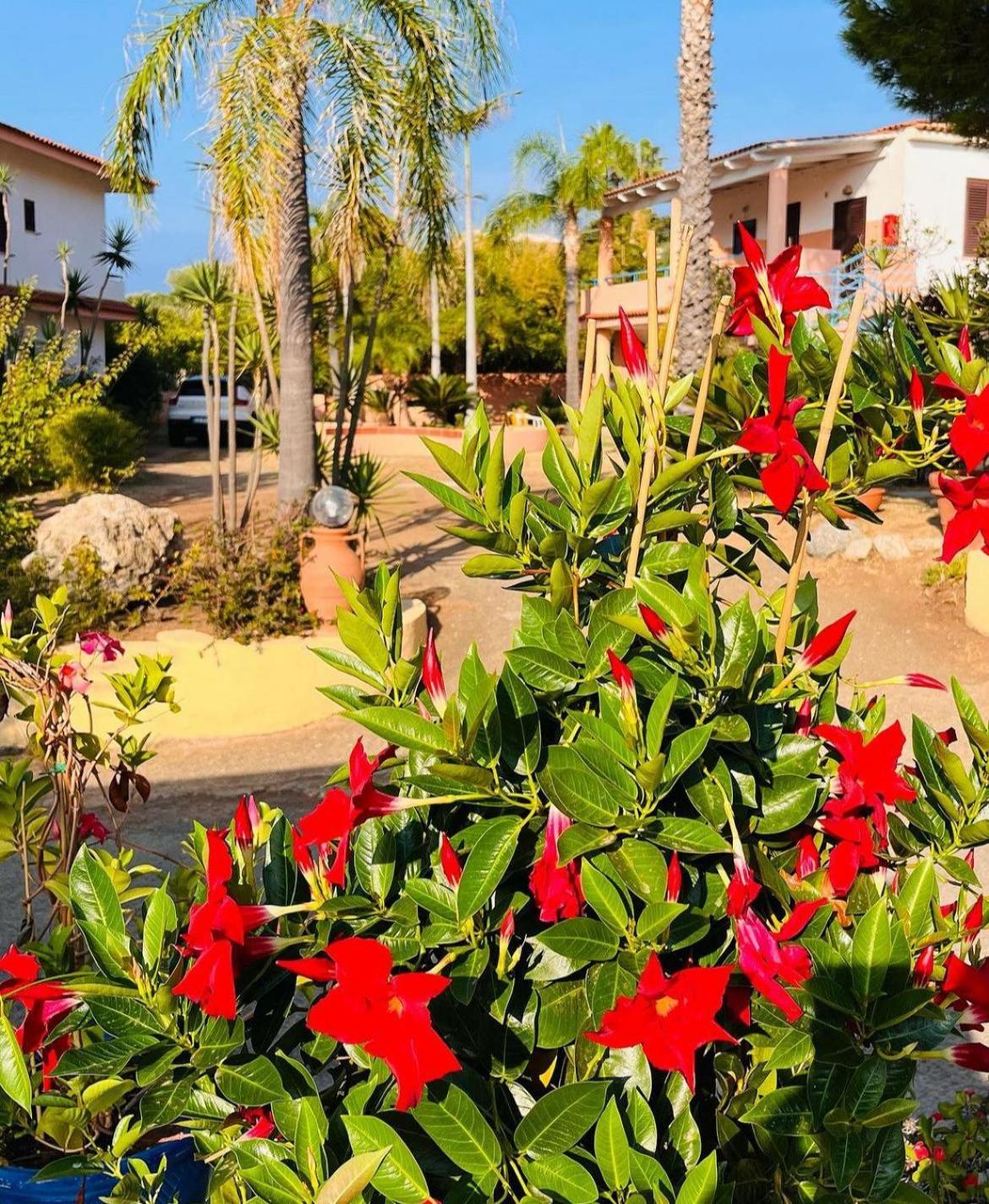 Hotel Grotticelle Capo Vaticano Kültér fotó